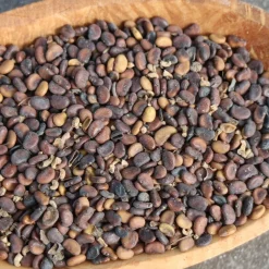 Blue False Indigo Seed Pack