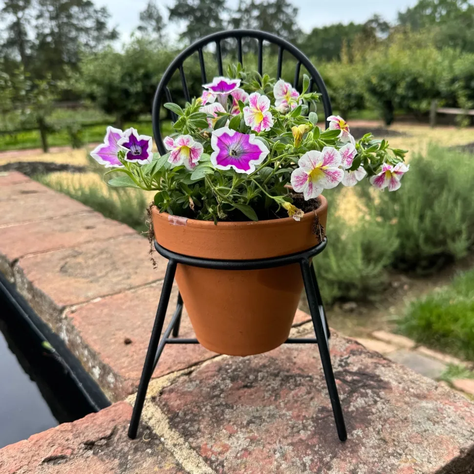 Mount Vernon Windsor Chair Planter