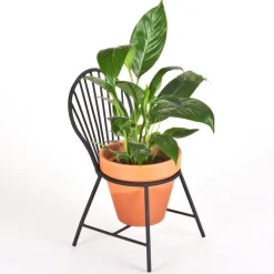 Mount Vernon Windsor Chair Planter
