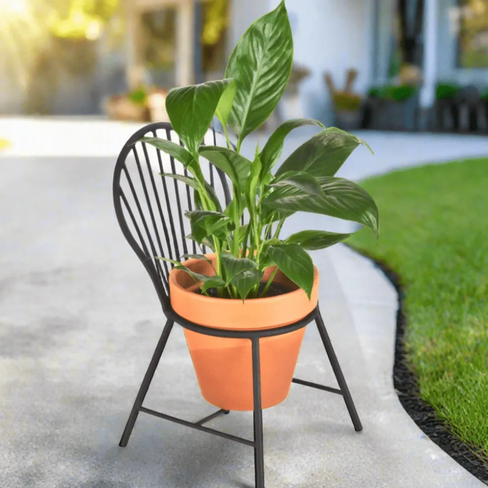 Mount Vernon Windsor Chair Planter