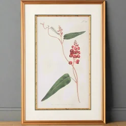 Native Lilac Botanical Print