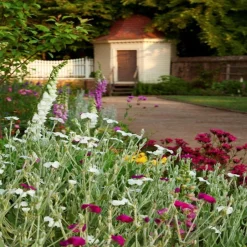 Sterling Silver and Garnet Ring