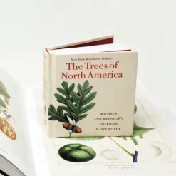 Trees of North America - Tiny Folio